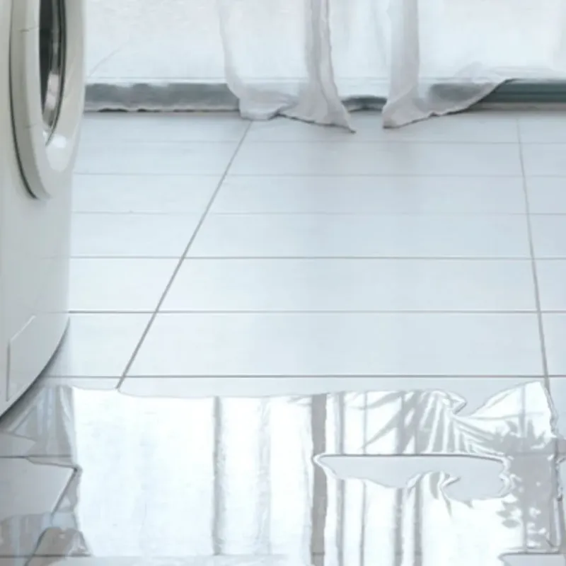 Appliance Leak Cleanup in Bellevue, ID