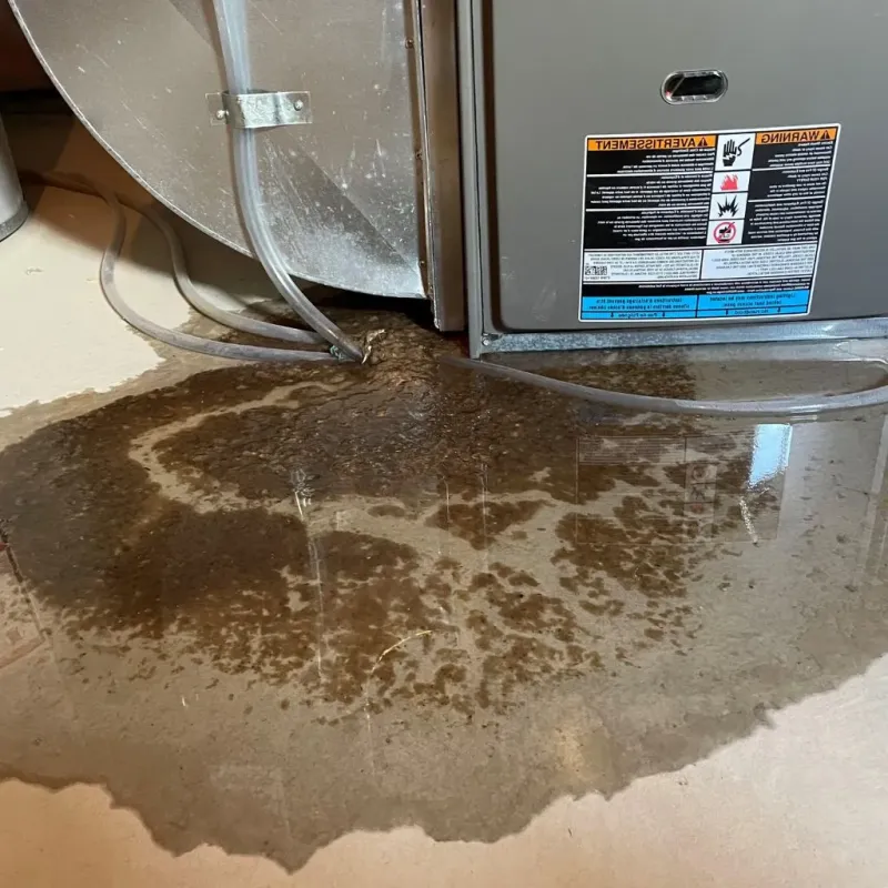 Pipe Burst and Leak Restoration in Bellevue, ID